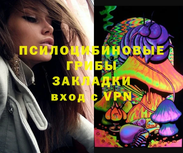 прущий лед Абаза
