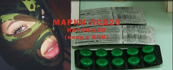 прущие грибы Алексеевка