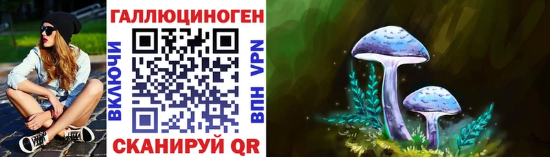 закладка OMG зеркало Псилоцибиновые грибы прущие грибы Тихвин