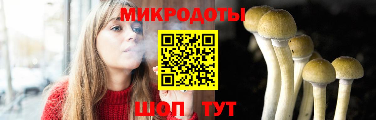 Псилоцибиновые грибы Cubensis  продажа наркотиков  Псилоцибиновые грибы Psilocybine cubensis  Тихвин  Вход с VPN 